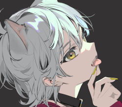 Rule 34 | 1boy, animal ears, black background, cat ears, collar, commentary request, fang, from side, grey hair, male focus, nail polish, original, portrait, short hair, simple background, solo, tongue, tongue out, torino kawazu, yellow eyes, yellow nails