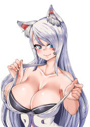 Rule 34 | 1girl, animal ears, bad id, bad pixiv id, blue eyes, blush, breasts, cleavage, collarbone, dungeon and fighter, era (erasion), highres, large breasts, long hair, looking at viewer, silver hair, simple background, smile, solo, white background