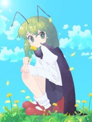 Rule 34 | 1girl, androgynous, antennae, black cape, blouse, blue sky, blush, cape, closed mouth, cloud, commentary request, dandelion, day, flower, full body, grass, green eyes, green hair, juliet sleeves, kari (atsuki 565), long sleeves, looking at viewer, looking to the side, mary janes, outdoors, puffy sleeves, red cape, red footwear, shirt, shoes, short hair, short sleeves, sky, socks, solo, squatting, sun, sunlight, touhou, two-sided cape, two-sided fabric, white shirt, white socks, wriggle nightbug, yellow flower