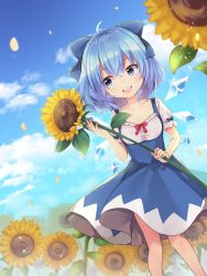 Rule 34 | 1girl, :d, absurdres, ahoge, blue eyes, blue hair, blue skirt, blue sky, cirno, cloud, collarbone, commentary request, day, feet out of frame, field, flower, flower field, frills, hair between eyes, hand up, high-waist skirt, highres, holding, holding flower, ice, ice wings, looking to the side, open mouth, outdoors, petals, puffy short sleeves, puffy sleeves, red ribbon, ribbon, ruhika, short hair, short sleeves, skirt, sky, smile, solo, standing, sunflower, sunflower field, touhou, wings