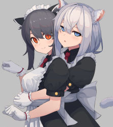 Rule 34 | 2girls, animal ear fluff, animal ears, apron, black hair, blue eyes, cat ears, cat tail, closed mouth, commentary, english commentary, gloves, highres, hug, hug from behind, jitome, long hair, looking at viewer, maid, maid apron, maid headdress, multiple girls, orange eyes, original, paw pose, puffy short sleeves, puffy sleeves, revision, short hair with long locks, short sleeves, silver hair, simple background, tail, upper body, white gloves, wozora