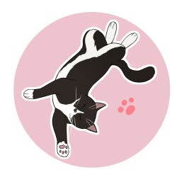 Rule 34 | animal, animal focus, cat, closed eyes, facing viewer, full body, lying, no humans, on back, original, outline, paw print, paw print background, pink background, que meng meng, round image, two-tone background, white background, white outline