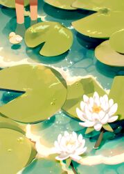 Rule 34 | 1other, barefoot, bird, duck, highres, jauni (tofublock), lily pad, liquid, original, out of frame, partially submerged, pond, solo, sparkle, wading, water, water drop, water lily flower, wide shot, yellow bird