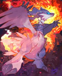 Rule 34 | absurdres, animal focus, blue eyes, claws, closed mouth, creatures (company), dragon, embers, fire, flame-tipped tail, game freak, gen 5 pokemon, highres, legendary pokemon, looking at viewer, narumi hyou, nintendo, no humans, pokemon, pokemon (creature), reshiram, signature, solo