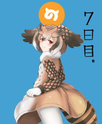 Rule 34 | 10s, 1girl, blue background, blush, brown coat, brown eyes, brown hair, buttons, clothes grab, coat, cowboy shot, eurasian eagle owl (kemono friends), from side, fur collar, gloves, hair between eyes, head wings, highres, japari symbol, kemono friends, long sleeves, looking at viewer, looking to the side, multicolored hair, pantyhose, short hair, smile, solo, temari rin, white gloves, white hair, white pantyhose, wings