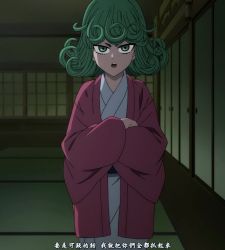 Rule 34 | 1girl, green eyes, green hair, highres, japanese clothes, matching hair/eyes, one-punch man, solo, standing, stitched, tatsumaki, third-party edit
