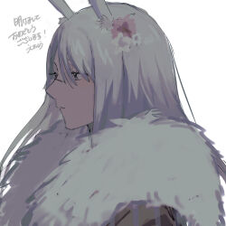 Rule 34 | 1girl, absurdres, animal ear fluff, animal ears, arknights, closed mouth, flower, from side, frostnova (arknights), fur collar, grey eyes, grey hair, hair between eyes, hair flower, hair ornament, highres, inu to milk, long hair, pink flower, rabbit ears, scar on face, scar on nose, simple background, solo, translation request, upper body, white background, white flower