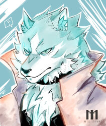 Rule 34 | blue eyes, brand new animal, coat, collar, frown, furry, highres, male focus, ogami shirou, trench coat, wolf