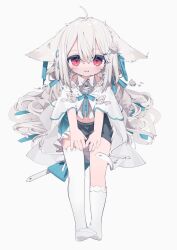 Rule 34 | ahoge, animal ear fluff, animal ears, asymmetrical legwear, bare shoulders, belt, blue bow, blue ribbon, bow, bowtie, braid, cape, capelet, catbell, child, collared shirt, fox ears, fox girl, fox tail, frilled capelet, frilled skirt, frills, from above, full body, hair between eyes, hair ornament, hair ribbon, hair scrunchie, hairclip, hairpin, hands on own thighs, high collar, highres, kneehighs, large ears, large tail, layered capelet, layered skirt, long hair, low twintails, midriff, miniskirt, mismatched legwear, navel, no shoes, on floor, open mouth, original, outstretched leg, red eyes, ribbon, sakurada shiro (hy plus), sakurada shiro (summer) (hy plus), scrunchie, shirt, side braid, single sock, single thighhigh, sitting, skirt, socks, straight-on, tail, thighhighs, twintails, very long hair, white background, white cape, white hair, white shirt, white socks, white thighhighs, wrist scrunchie