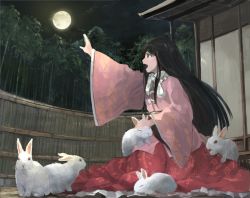 Rule 34 | 1girl, bamboo, bamboo forest, black hair, forest, full moon, houraisan kaguya, ichiba youichi, long hair, long sleeves, moon, nature, night, open mouth, rabbit, reaching, reaching towards viewer, shirt, sitting, skirt, sky, solo, too many, too many rabbits, touhou, very long hair, wall, wide sleeves