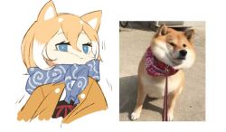 Rule 34 | 1girl, animal, animal ears, blonde hair, blue eyes, cheek squash, dog, dog ears, hair between eyes, jong tu, leash, leash pull, multicolored hair, original, photo-referenced, photo inset, pout, reference inset, reference photo, scarf, shiba inu, shiba squish, short hair, simple background, solo, two-tone hair, upper body, white background, white hair