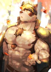Rule 34 | 1boy, :o, abs, absurdres, ainu clothes, animal ears, autumn leaves, bara, bare pectorals, belt, chest hair, crow (siranui), furry, furry male, grey fur, grey hair, headband, highres, horkeu kamui, jacket, jacket on shoulders, large pectorals, leaf, leaf on head, male focus, maple leaf, multicolored hair, muscular, muscular male, navel, nipples, pectorals, scar, scar on chest, short hair, solo, stomach, sunlight, tail, tokyo houkago summoners, two-tone fur, two-tone hair, upper body, white fur, wolf boy, wolf ears, wolf tail, yellow eyes