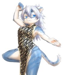 Rule 34 | 1girl, blue eyes, cat, chinese clothes, female focus, furry, furry female, highres, long hair, nakamula, solo, standing, standing on one leg, white hair