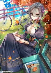 Rule 34 | 1girl, autumn, bicycle, book, dress, green eyes, leaf, looking at viewer, maple leaf, purple dress, sid story, sila (carpen), silver hair, sitting, solo, sunlight, veil, veil over eyes, writing