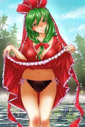 Rule 34 | 1girl, bow, breasts, clothes lift, dress, dress lift, frilled dress, frilled ribbon, frills, front ponytail, green eyes, green hair, hair ribbon, highres, kagiyama hina, looking at viewer, nunnun (shunka shuutou), puffy short sleeves, puffy sleeves, red bow, red ribbon, ribbon, short sleeves, smile, solo, touhou