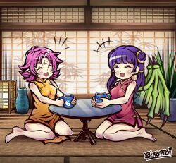 Rule 34 | 2girls, bare legs, barefoot, china dress, chinese clothes, closed eyes, cup, dragon girl, dragon wings, dress, fae (fire emblem), fire emblem, fire emblem: the binding blade, fire emblem: the sacred stones, gold trim, green wings, highres, holding, holding cup, laughing, mug, multiple girls, myrrh (fire emblem), nintendo, pale skin, pink hair, plant, potted plant, purple hair, screen door, seiza, short hair, signature, sitting, table, tatami, thaumana, twintails, wings