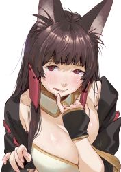 Rule 34 | 1girl, akagi (azur lane), animal ears, azur lane, breasts, brown hair, commentary request, fingerless gloves, gloves, highres, kamiyama aya, large breasts, licking lips, long hair, looking at viewer, red eyes, sidelocks, solo, tongue, tongue out