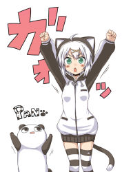 Rule 34 | 1girl, ahoge, animal costume, clenched hands, fang, green eyes, lock heart (juuryokudou), open mouth, original, outstretched arms, panda, panda costume, paw print, raised fists, silver hair, simple background, striped clothes, striped thighhighs, tail, thighhighs, translation request, white background, yashiro (lock heart), yashiro (rock heart)