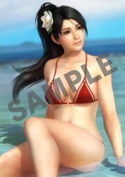 Rule 34 | 1girl, 3d, black hair, breasts, brown eyes, cleavage, dead or alive, dead or alive 5, highres, long hair, momiji (ninja gaiden), ninja gaiden, ninja gaiden: dragon sword, official art, solo, swimsuit, underboob