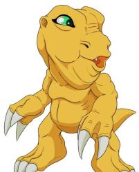 Rule 34 | agumon, claws, digimon, digimon (creature), fang, green eyes, meme, solo, tail, what, why