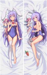 Rule 34 | animal ears, carrot, covering privates, covering breasts, detached collar, fairy, fake animal ears, highres, leotard, mini person, minigirl, playboy bunny, purple hair, rabbit ears, rabi-ribi, thighhighs, torn clothes