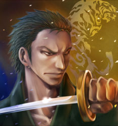 Rule 34 | 1boy, green hair, male focus, one-eyed, one piece, roronoa zoro, solo, sword, wado ichimonji, weapon