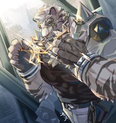 Rule 34 | 1boy, ahamma, animal ears, arknights, bandaged hand, bandages, bara, black tank top, chain, chain necklace, covered abs, cowboy shot, fingerless gloves, furry, furry male, gloves, jacket, jacket on shoulders, jewelry, male focus, mountain (arknights), muscular, muscular male, necklace, pants, pectorals, scar, scar across eye, scar on face, short hair, shoulder spikes, solo, sparkle, spikes, sunlight, tank top, thick eyebrows, tiger boy, tiger ears, white fur, white hair, white jacket, white pants