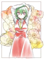Rule 34 | 1girl, aoi (annbi), arms up, border, breasts, commentary, cowboy shot, floral background, flower, green eyes, hair between eyes, kazami yuuka, looking at viewer, medium breasts, red eyes, red skirt, red vest, shirt, short hair, skirt, solo, touhou, vest, white border, white shirt, yellow neckwear