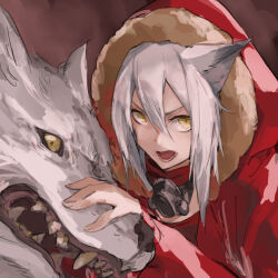 Rule 34 | 1girl, animal, animal ear fluff, animal ears, arknights, e-bushi, fur-trimmed hood, fur trim, grey hair, hair between eyes, hand up, highres, hood, hood up, hooded jacket, jacket, long sleeves, looking at viewer, open mouth, projekt red (arknights), puffy long sleeves, puffy sleeves, red jacket, respirator, sleeves past wrists, solo, upper body, v-shaped eyebrows, wolf, wolf ears, yellow eyes