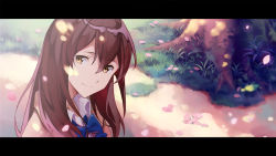 Rule 34 | 10s, 1girl, blazer, blue bow, blue bowtie, bow, bowtie, brown eyes, brown hair, brown jacket, cheese kang, cherry blossoms, closed mouth, collared shirt, commentary request, day, falling leaves, from above, grass, hair between eyes, head tilt, jacket, kimi no suizou wo tabetai, leaf, letterboxed, long hair, looking at viewer, outdoors, path, road, school uniform, shirt, smile, solo, tree, upper body, white shirt, yamauchi sakura