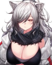 Rule 34 | 1girl, absurdres, animal ears, arknights, black scarf, breasts, cat ears, cleavage, commentary, hair over one eye, highres, jacket, large breasts, long hair, looking at viewer, open clothes, open jacket, orange eyes, rikuguma, scarf, schwarz (arknights), simple background, single bare shoulder, solo, upper body, white background, white hair, white jacket