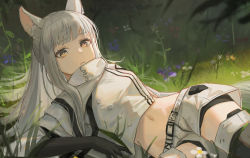 Rule 34 | 1girl, animal ears, arknights, black gloves, clothes writing, cowboy shot, cropped jacket, flower, gloves, grass, highres, horse ears, horse girl, long hair, looking at viewer, midriff, navel, platinum (arknights), purple flower, shorts, sidelocks, solo, tadano tarako, white hair, white shorts, yellow eyes