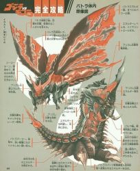 Rule 34 | age progression, anatomy, artist request, baby, battra, biology, brain, bug, butterfly, caterpillar, chart, crest, cross-section, diagram, dual persona, godzilla (series), godzilla vs. mothra, heart, horns, insect, intestines, japanese text, kaijuu, larva, mandibles, moth, muscular, no humans, official art, organs, pincers, science, science fiction, stomach, tail, toho, transformation, translation request, veins, wings, x-ray