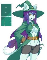 Rule 34 | 1girl, borrowed character, breasts, cat, female focus, furry, furry female, grin, hat, long hair, purple hair, simple background, smile, solo, the amboina, white background, witch hat