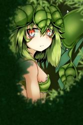 Rule 34 | 1girl, breasts, expressionless, female focus, green hair, highres, monster girl, nature, ocha no mae, original, outdoors, plant girl, red eyes, small breasts, solo