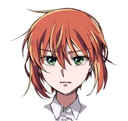 Rule 34 | 1girl, bad id, bad twitter id, clenched teeth, collared shirt, delfuze, green eyes, hatori chise, looking at viewer, mahou tsukai no yome, portrait, red hair, shirt, simple background, solo, teeth, white background, white shirt, wing collar