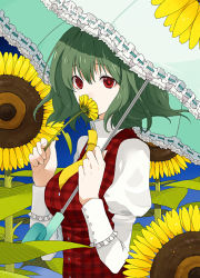 Rule 34 | 1girl, breasts, covering face, covering own mouth, covering privates, daisy, female focus, flower, green hair, holding, holding flower, kazami yuuka, kintaro, medium breasts, necktie, parasol, plaid, plaid vest, puffy sleeves, red eyes, short hair, smelling flower, solo, sunflower, touhou, umbrella, upper body, vest, yellow necktie
