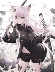Rule 34 | 1girl, animal ears, arknights, belt, black eyes, black jacket, black shorts, blurry, cowboy shot, crystal, dual wielding, facial mark, floating hair, hair ornament, highres, holding, holding sword, holding weapon, jacket, katana, kind1516, lappland (arknights), layered sleeves, long hair, long sleeves, looking at viewer, material growth, navel, oripathy lesion (arknights), parted lips, short over long sleeves, short shorts, short sleeves, shorts, silver hair, smile, solo, sword, tail, very long hair, weapon, wolf ears, wolf tail