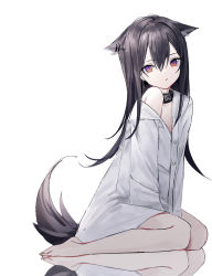 Rule 34 | 0 (znanimo), 1girl, absurdres, animal ear fluff, animal ears, arknights, between legs, black hair, closed mouth, collared shirt, commentary, dress shirt, ear piercing, english commentary, full body, hair between eyes, hand between legs, highres, long hair, looking at viewer, off shoulder, piercing, purple eyes, reflection, shirt, simple background, sitting, solo, tail, texas (arknights), very long hair, wariza, white background, white shirt