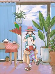 Rule 34 | aomushimm, bird, blush stickers, cactus, child, closed mouth, crossed legs, cup, curtains, full body, hat, highres, holding, indoors, looking at viewer, miss goldenweek, one piece, parrot, plant, potted plant, shoes, short sleeves, sitting, sky, sneakers, twintails