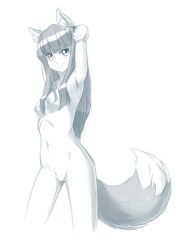 Rule 34 | 1girl, animal ears, breasts, completely nude, highres, holo, long hair, medium breasts, midriff, monochrome, nipples, nude, small breasts, spice and wolf, tail, vistamage, wolf ears, wolf girl, wolf tail