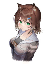 Rule 34 | 1girl, :3, absurdres, animal ear fluff, animal ears, black shirt, blush, breasts, brown hair, cat ears, closed mouth, collarbone, fish hair ornament, fumino tamaki, green eyes, hair ornament, highres, hood, hood down, hooded jacket, jacket, large breasts, long sleeves, looking at viewer, myske (myst34415756), nijisanji, open clothes, open jacket, shirt, short hair, sign, sign around neck, smile, solo, striped clothes, striped jacket, translation request, virtual youtuber