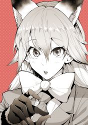 Rule 34 | 10s, 1girl, animal ears, blazer, bonkara (sokuseki maou), bow, commentary request, ezo red fox (kemono friends), fox ears, fur trim, gloves, hair between eyes, highres, jacket, kemono friends, long hair, looking at viewer, necktie, open mouth, red background, solo, surprised, upper body