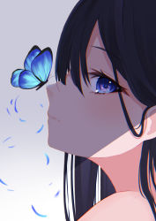Rule 34 | 1girl, animal, bare shoulders, black hair, blue eyes, bug, butterfly, butterfly on nose, closed mouth, gradient background, grey background, hair between eyes, highres, hikashou, insect, long hair, looking at viewer, looking to the side, original, portrait, profile, solo, white background