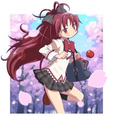 Rule 34 | 10s, 1girl, apple, bag, bow, cherry blossoms, female focus, food, fruit, gecchu, highres, juliet sleeves, loafers, long hair, long sleeves, mahou shoujo madoka magica, mahou shoujo madoka magica (anime), mitakihara school uniform, petals, ponytail, puffy sleeves, red bow, red eyes, red hair, sakura kyoko, school uniform, shoes, solo, tree