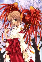Rule 34 | 00s, 1girl, absurdres, animal, animal on shoulder, aquarian age, bird, bird on shoulder, brown eyes, brown hair, cherry blossoms, hakama, hakama skirt, highres, japanese clothes, miko, nanase aoi, phoenix, red hakama, seven colors of the wind, skirt, solo