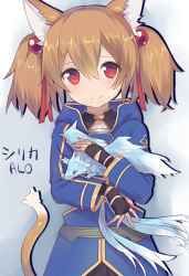Rule 34 | 10s, 1girl, animal ears, animal print, blue jacket, blush, brown hair, cat ears, cat print, cat tail, dragon, hair bobbles, hair ornament, hair ribbon, holding to chest, jacket, looking at viewer, multiple tails, niranome, pina (sao), red eyes, red ribbon, ribbon, short hair, short twintails, silica, silica (sao-alo), smile, solo, sword art online, tail, twintails, two tails, upper body