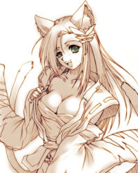 Rule 34 | 1girl, animal ears, banpresto, breasts, cat ears, cat tail, cleavage, green eyes, hisahiko, infinite frontier, koma (srw), monochrome, multiple tails, solo, spot color, super robot wars, super robot wars og saga mugen no frontier, tail, undressing