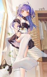 Rule 34 | 1girl, absurdres, ahoge, apron, ass, bare shoulders, black bow, black bowtie, black dress, blue hair, blush, bow, bowtie, breasts, cat, cat ornament, closed mouth, crazy ones, day, detached sleeves, dress, feet, foot focus, foot out of frame, frilled apron, frills, from below, frown, highres, indoors, long hair, looking at viewer, maid, maid headdress, no shoes, official art, plant, potted plant, puffy short sleeves, puffy sleeves, qianye zhizi, short dress, short sleeves, single bare leg, single thighhigh, small breasts, solo, standing, standing on one leg, thighhighs, thighhighs pull, transparent curtains, two side up, waist apron, wardrobe, white apron, white thighhighs, yellow eyes
