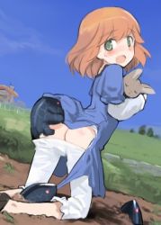 Rule 34 | 1girl, amelie planchard, ass, blue dress, blush, clothes pull, dress, green eyes, hug, kneeling, layered sleeves, long sleeves, lowres, neuroi, open mouth, orange hair, pantyhose, pantyhose pull, puffy short sleeves, puffy sleeves, rabbit, shimada fumikane, short hair, short over long sleeves, short sleeves, strike witches, torn clothes, torn dress, white pantyhose, world witches series